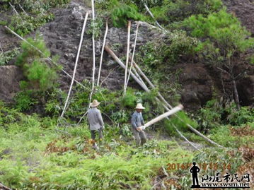 生態(tài)保護(hù)與產(chǎn)業(yè)發(fā)展的矛盾 從違規(guī)造墳與砍伐森林說起